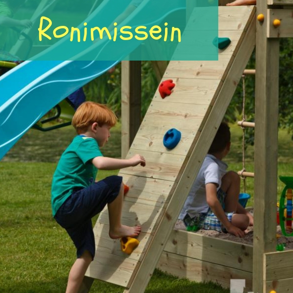 Ronimissein Ronimissein