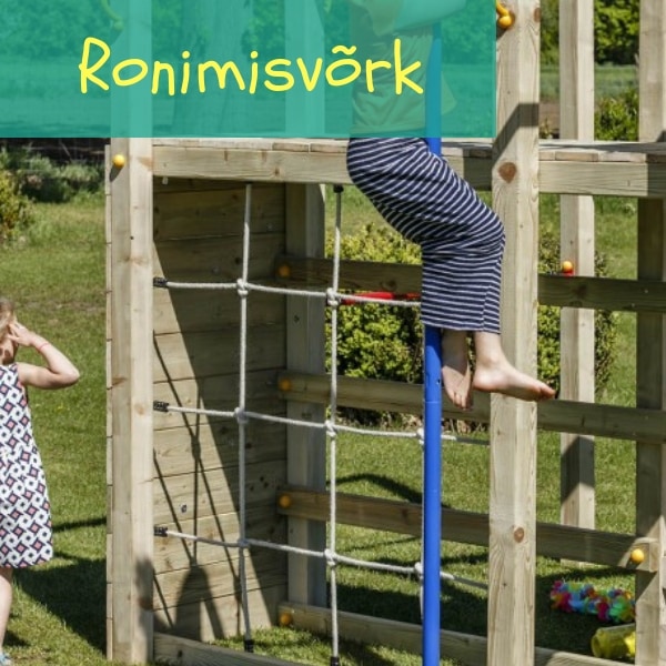 Ronimisvõrk
