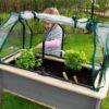 Laste taimekasvatuse laud + kasvuhoone (68x94 cm)
