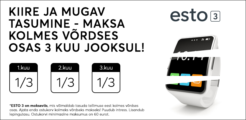 ESTO 2 - maksa 3 kuu jooksul