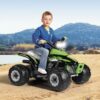 Laste ATV akuga 2x165W PEG PEREGO® Corral T-Rex, roheline