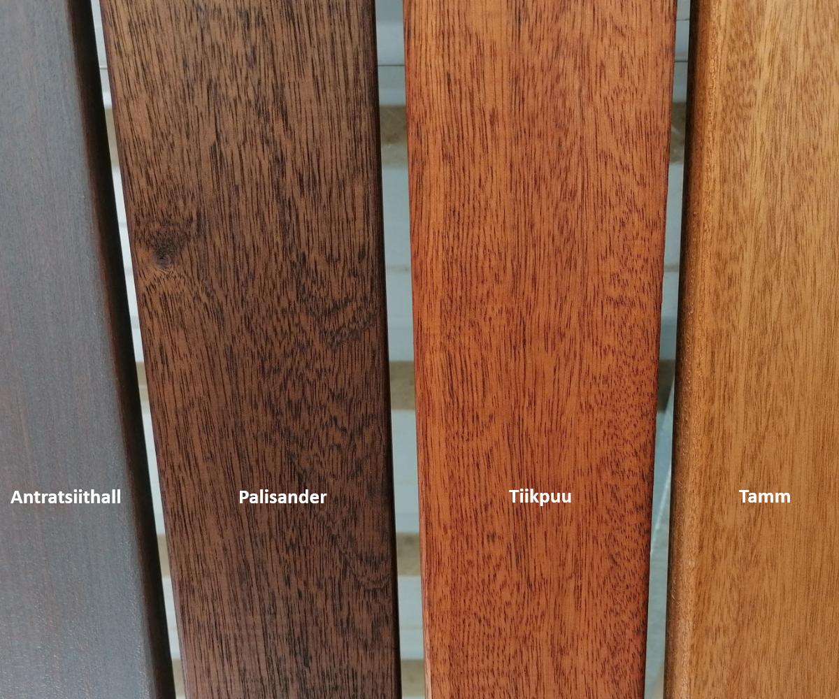 Seljatoeta pink Kangapas betoonist jalgadel (5)