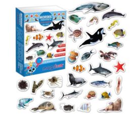 Magnetikomplekt 30-osaline, mereloomad