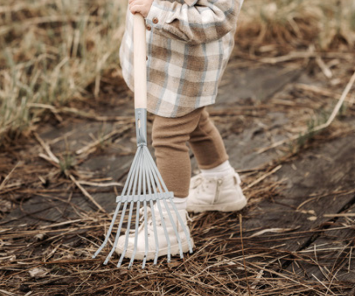 Small foot aianduse komplekt väikesele rohenäpule alates 3. eluaastast