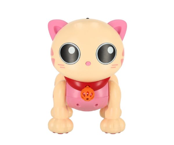 Interaktiivne puldiga juhitav kassipoeg