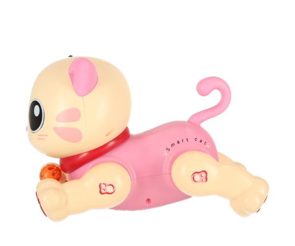 Interaktiivne puldiga juhitav kassipoeg