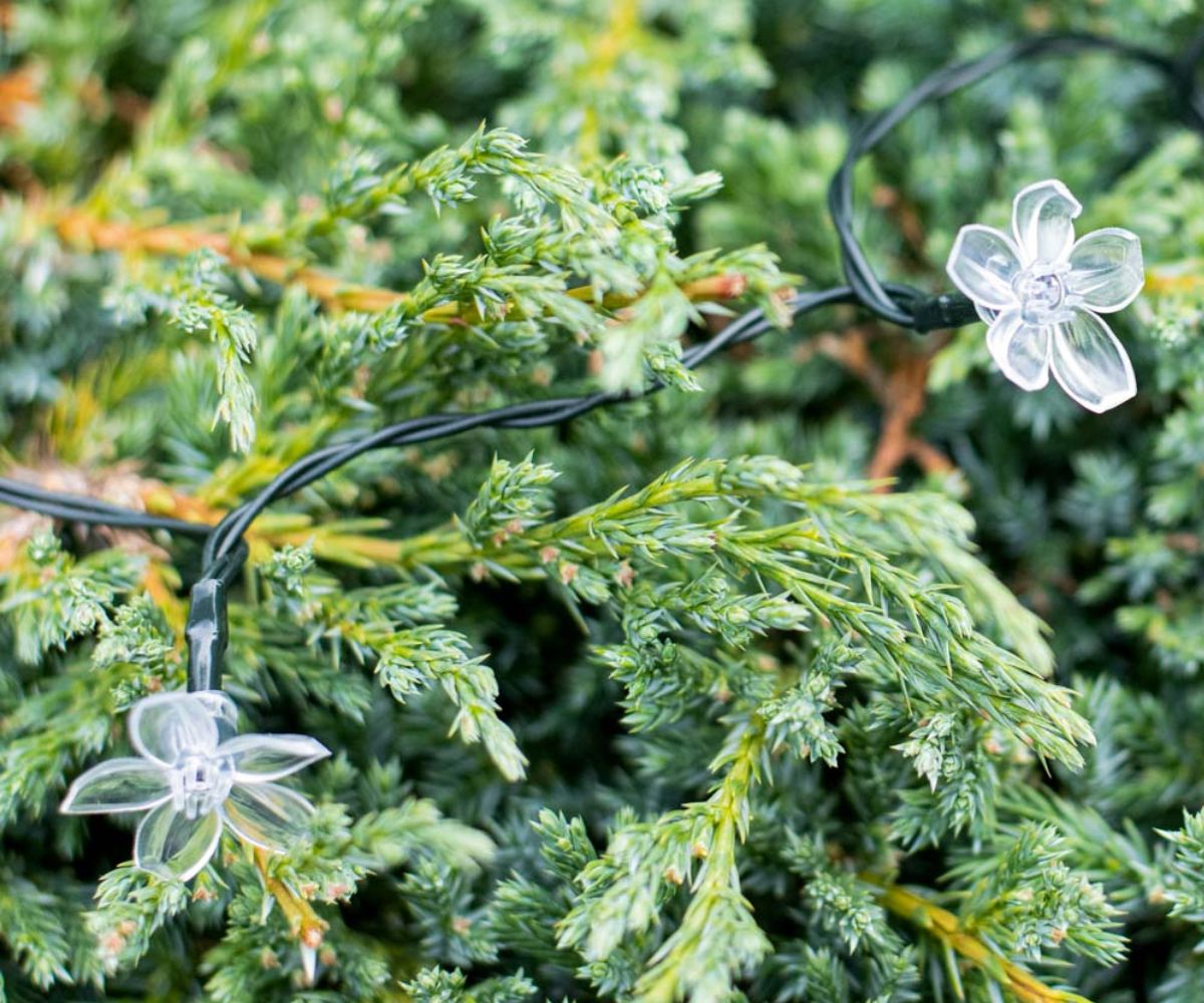 Solar LED-valguskett 7m värviline, lilled