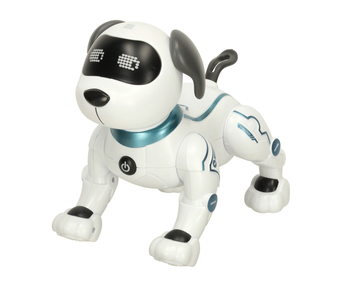 Interaktiivne kaugjuhitav robotkoer Robi, mis hüppab ja laulab