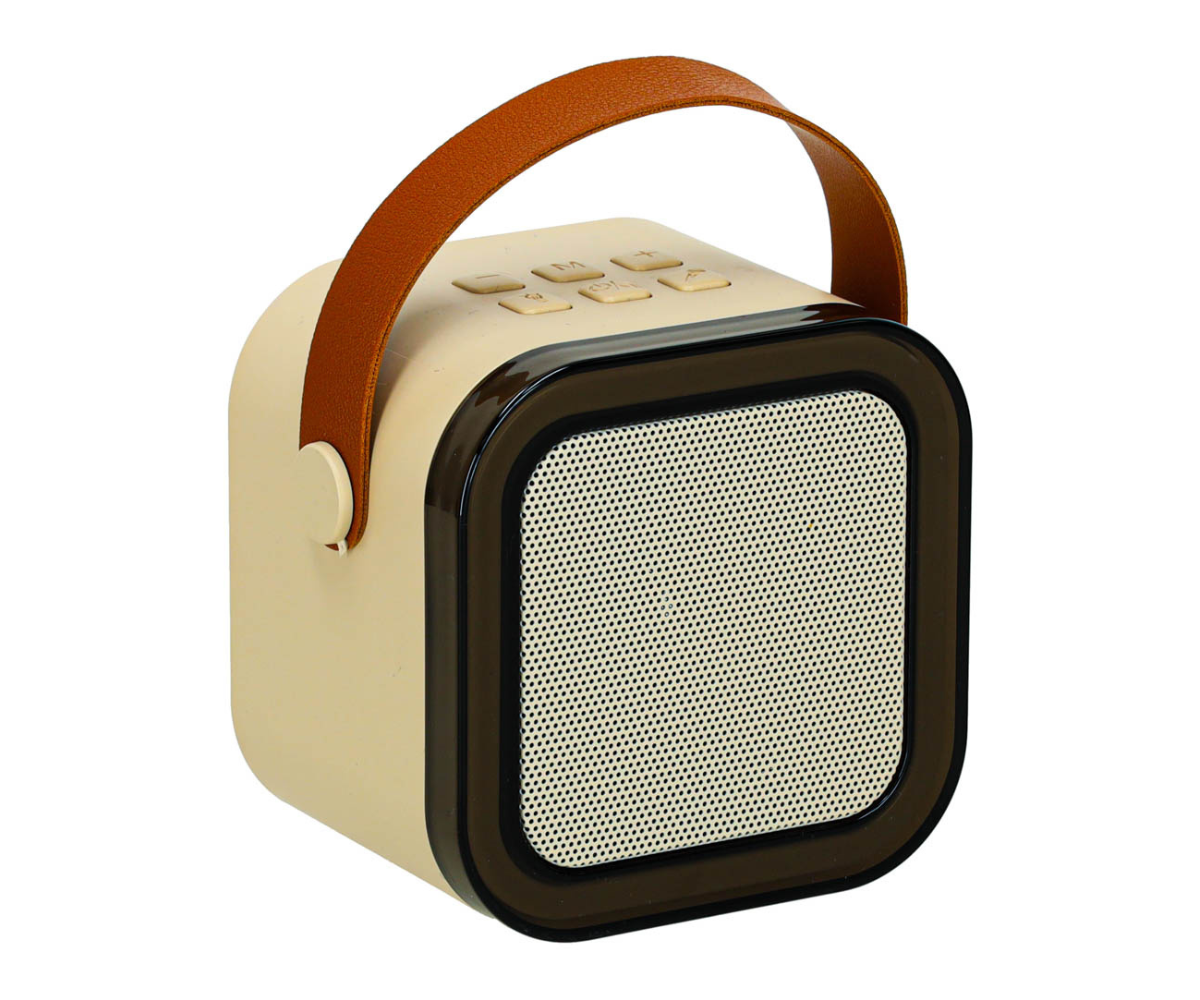 Kaasaskantav karaokekõlar S bluetoothiga + 2 mikrofoni LED tulega, beež