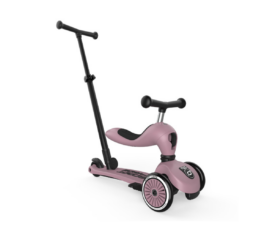 Tõukeratas Scoot and Ride Highwaykick 1 Push and Go Rose (1-5a)