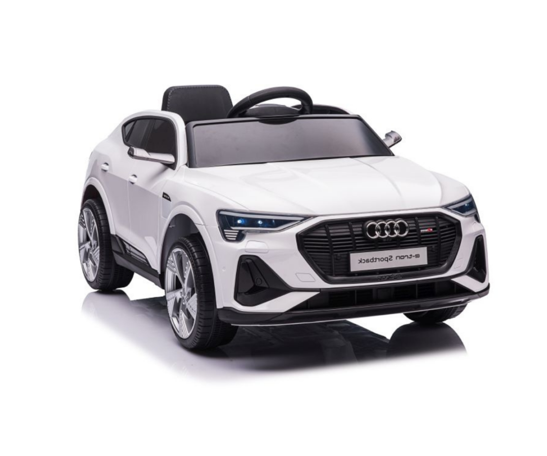 Elektriline lasteauto Audi E-tron QLS-6688 4x45W valge
