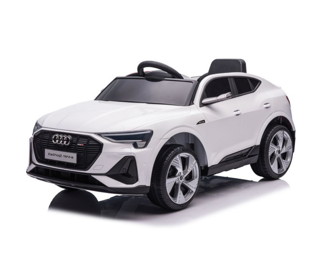 Elektriline lasteauto Audi E-tron QLS-6688 4x45W valge