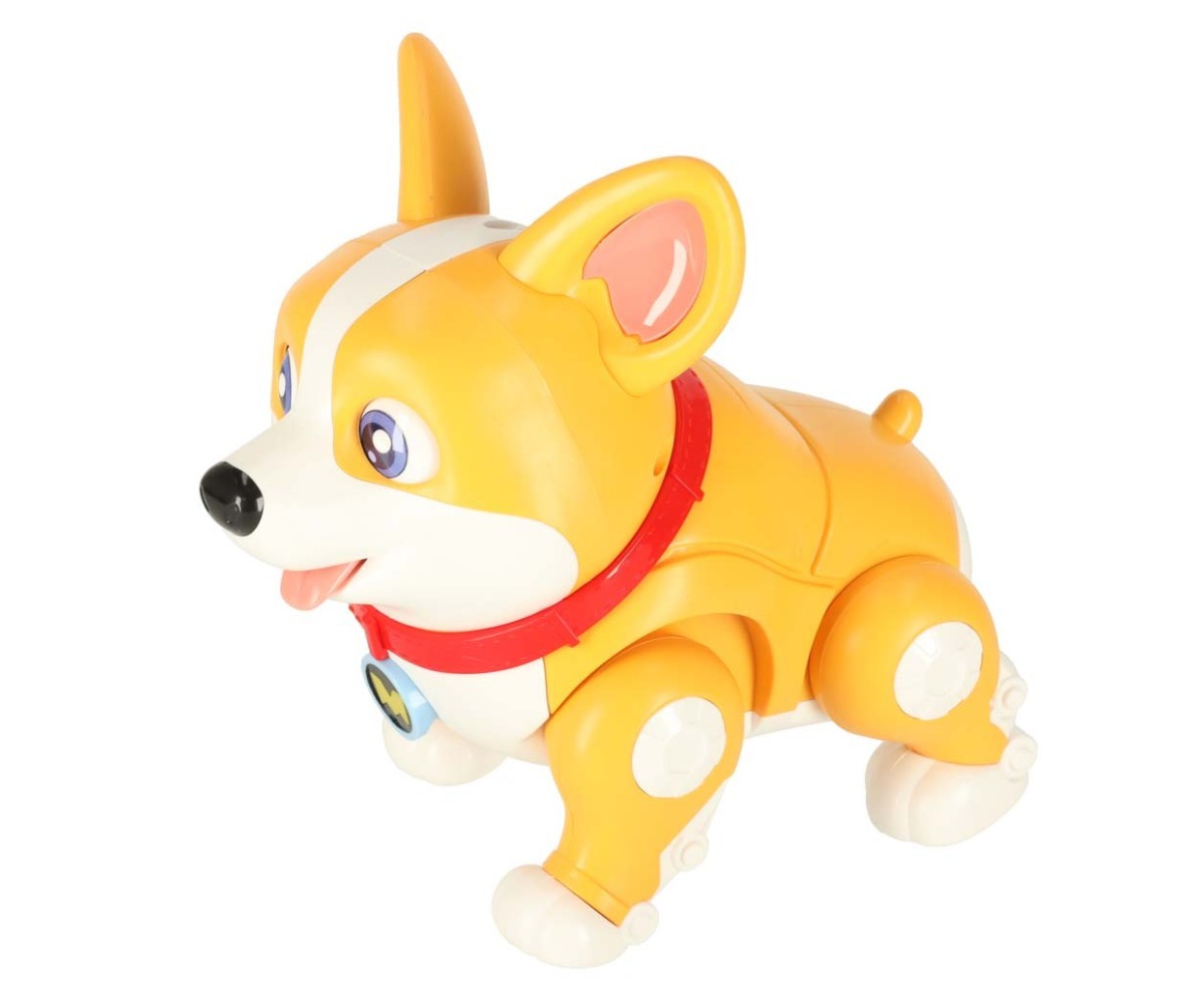 Laps mängib armsa pruunivalge Corgi koeraga