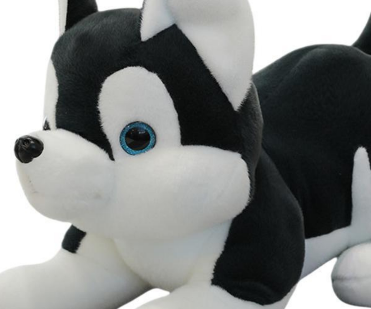 Lähedane pilt pehmest kaisukast Husky koerast must ja valge, pehme ja armsa välimusega.