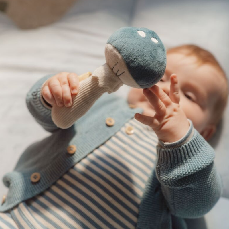 Kõristiga mänguasjad