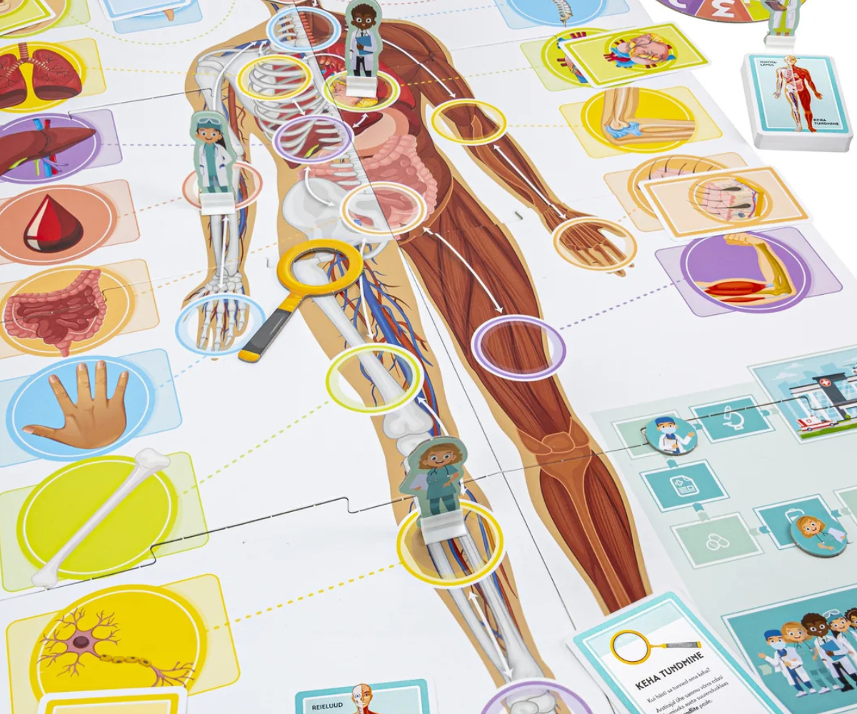 Tactic Õpime tundma oma imelist keha mängukaardid ja keerutusratas laual