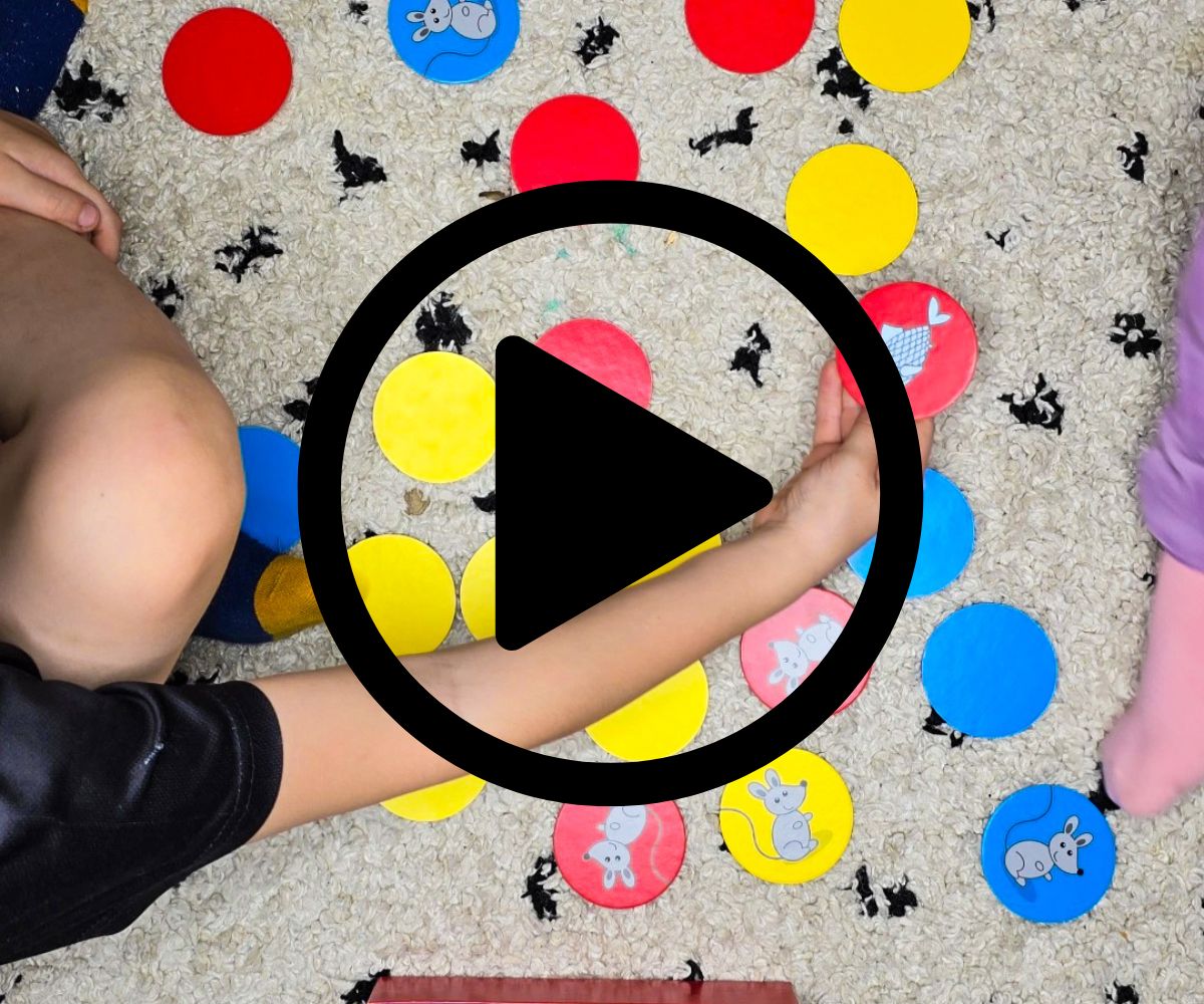 Tactic lauamäng Kassid köögis – lõbus ja kiire VIDEO