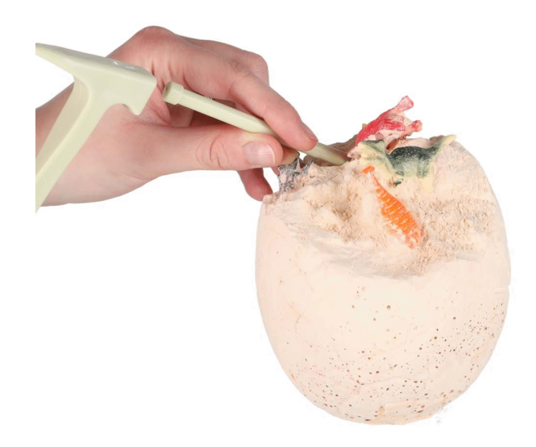 Kipsist dinosaurusmuna, mille sees peitub 12 miniatuursest figuurist koosnev kollektsioon.