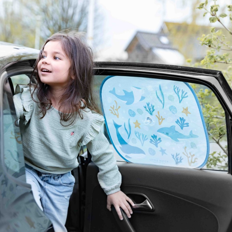 Autotarvikud ja varustus