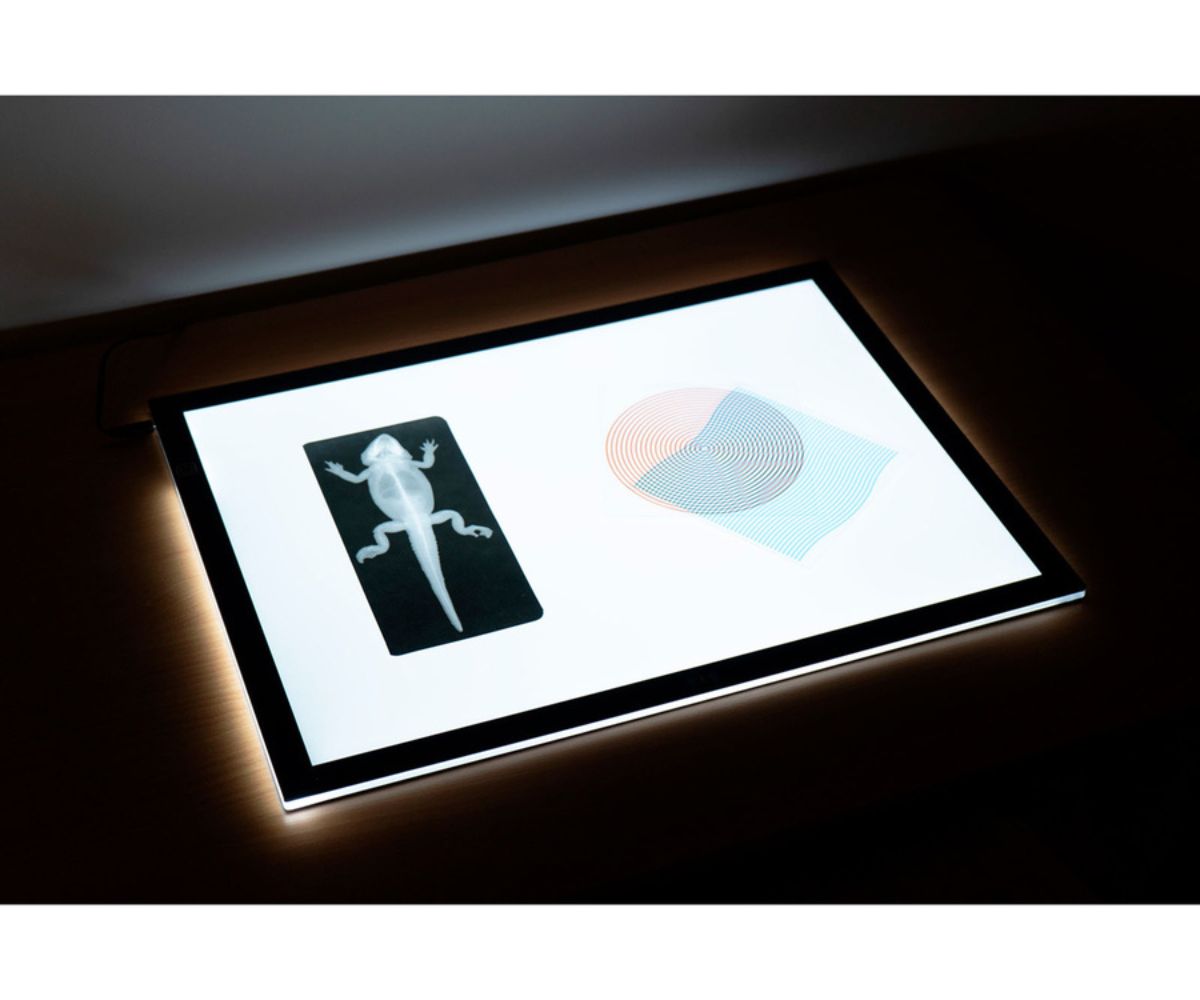 TTS Valguslaud, A2 õhuke