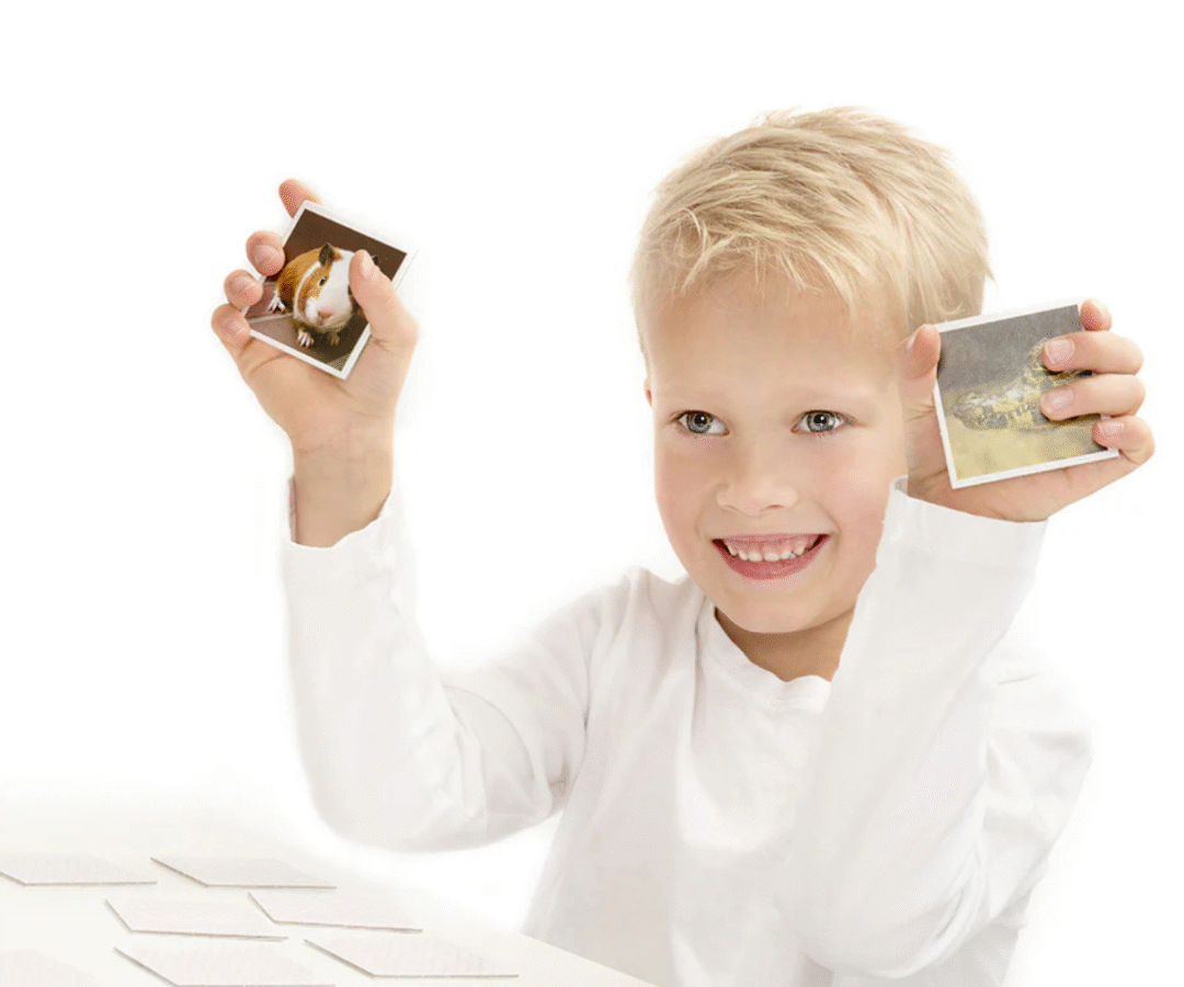 Memo mängu kaardid laotatuna, erinevate loomabeebide illustratsioonid nähtaval.