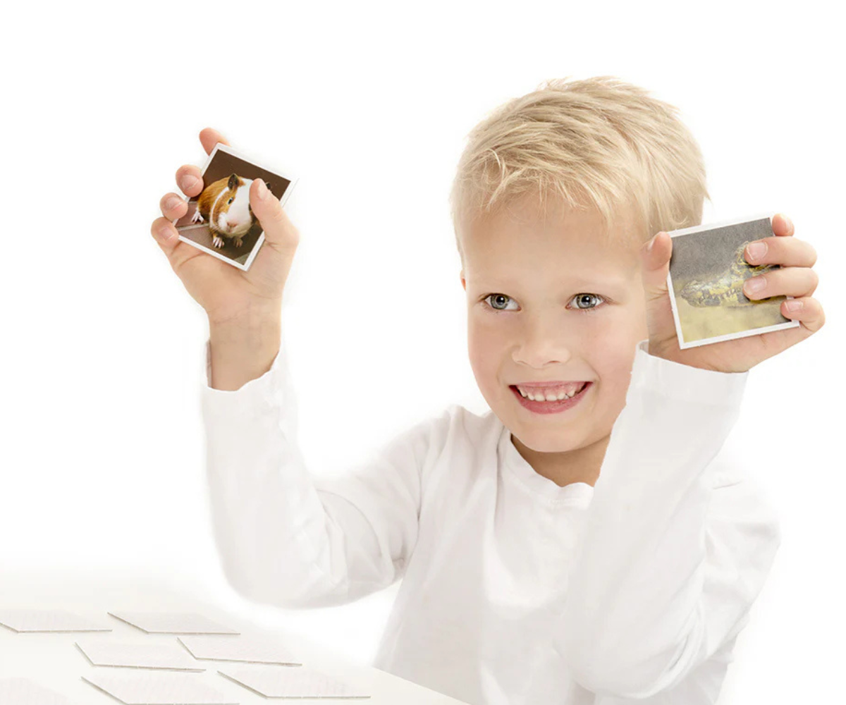 Memo mängu kaardid laotatuna, erinevate loomabeebide illustratsioonid nähtaval.