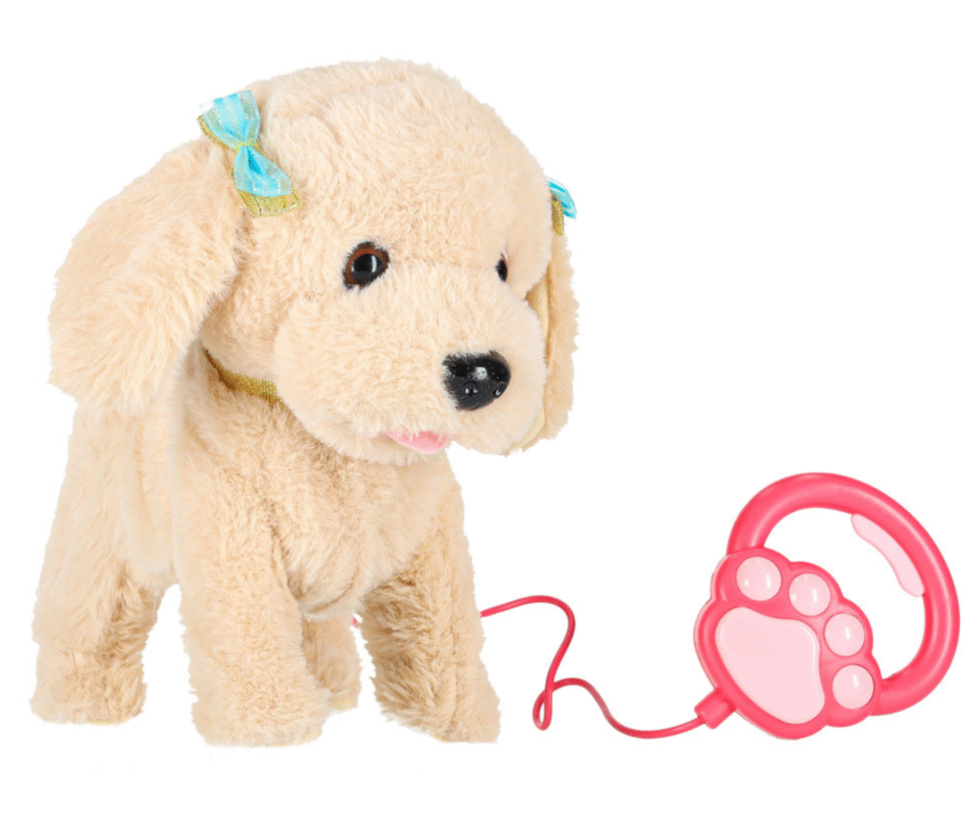 Interaktiivne puudlikoer jalutusrihmaga, näha on sinised ja kuldsed kaunistused koera kaelal.