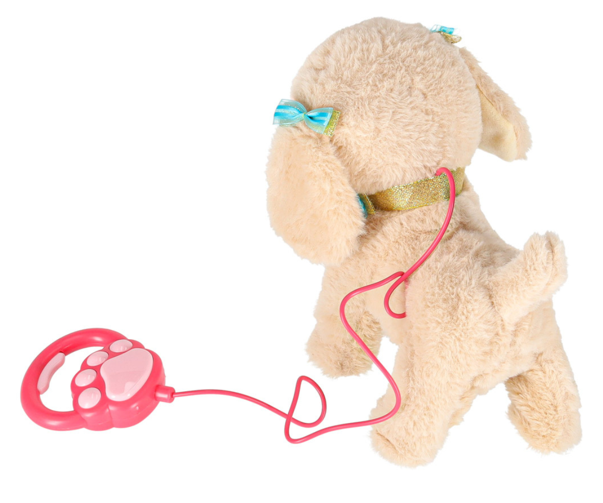 Puudlikoer noogutab pead ja näitab oma kohevat karva lähiplaanis.