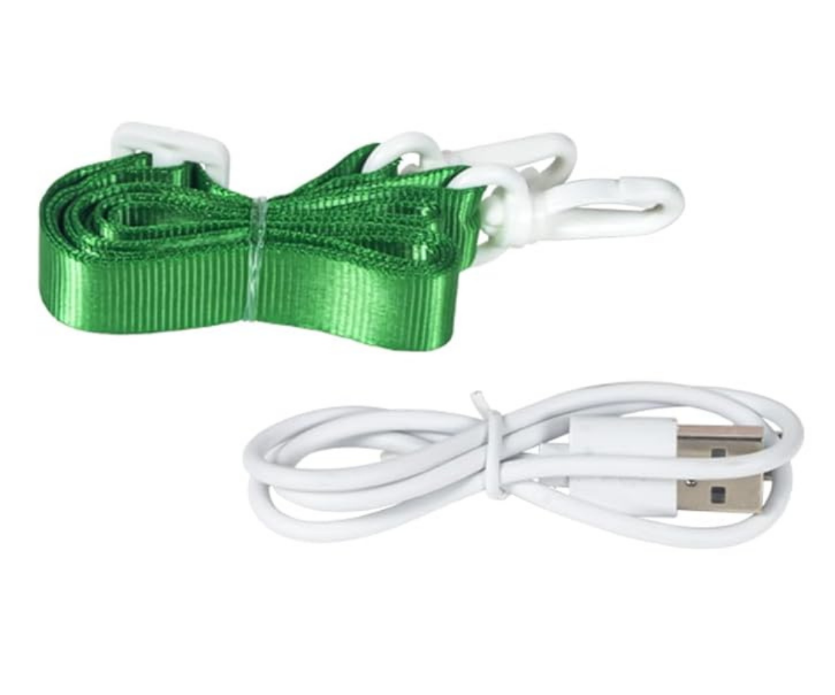 Laste digikaamera dinosaurus-disainiga laual alusel, stabiilne kasutusasend.