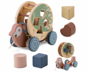 Puidust järelveetav papagoi Nukido NK-854 värviliste klotsidega