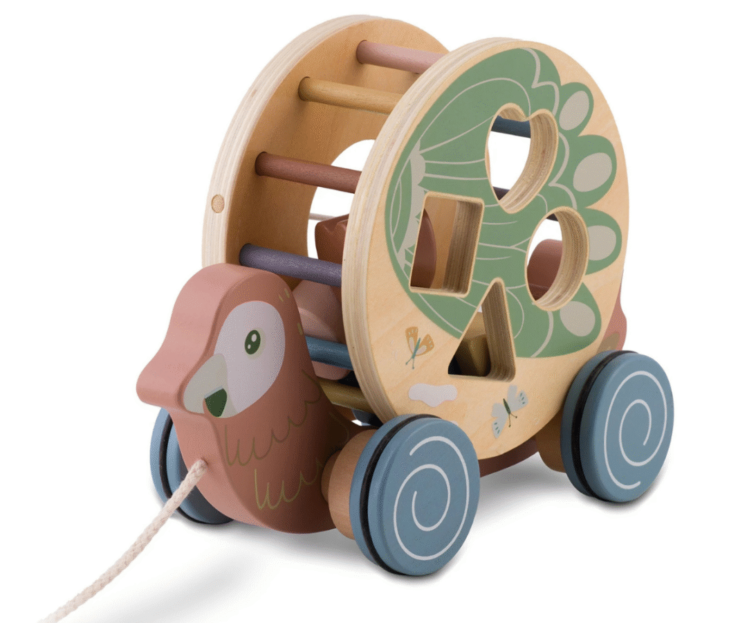 Nukido NK-854 papagoi mänguasi lapse järel veetavana