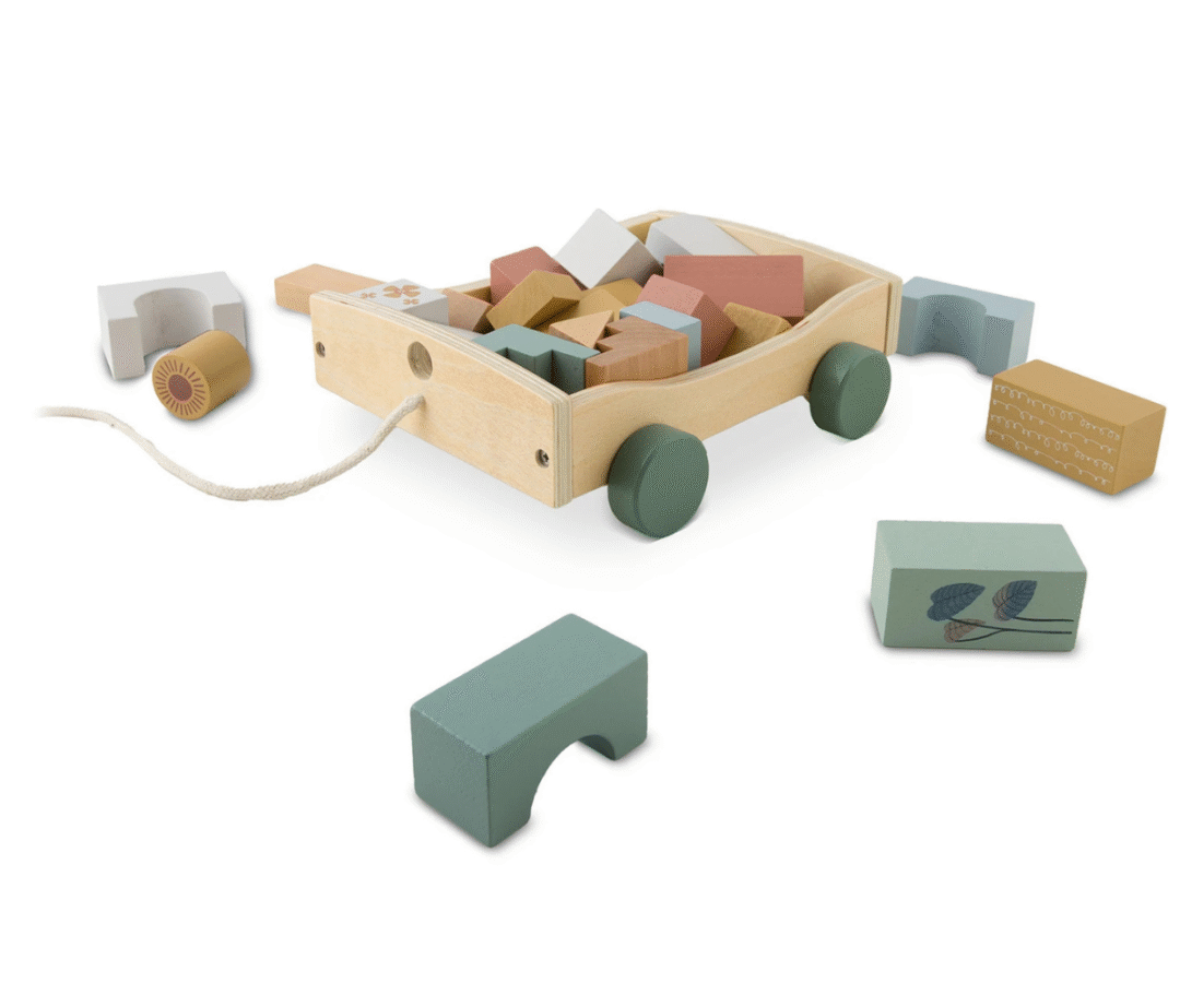 Laste puidust järelveetav mänguasi klotsidega Nukido