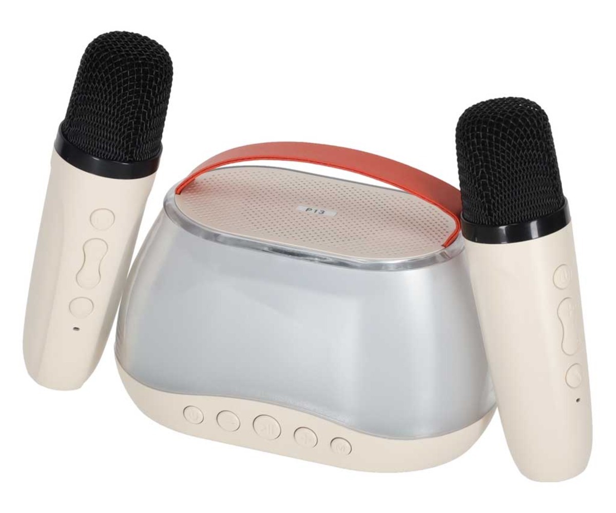 Kaks mikrofoniga Karaoke komplekt Bluetooth kõlari esiosa ja põhifunktsioonide pilt.