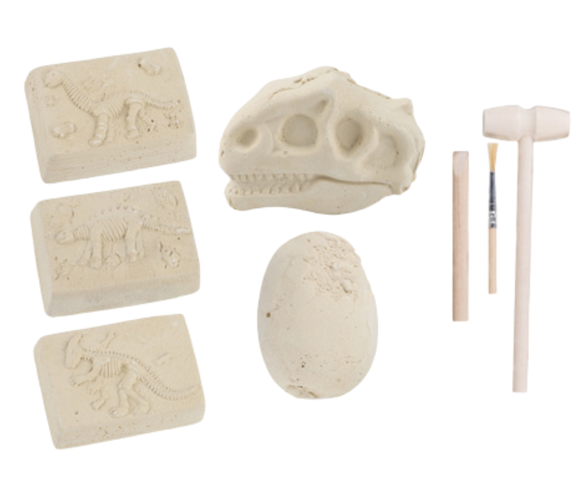 Hariv dinosauruse avastuskomplekt loogika ja keskendumise arendamiseks