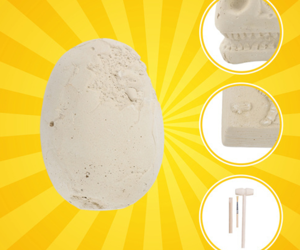 Paleontoloogi komplekt peidetud dinosaurustega