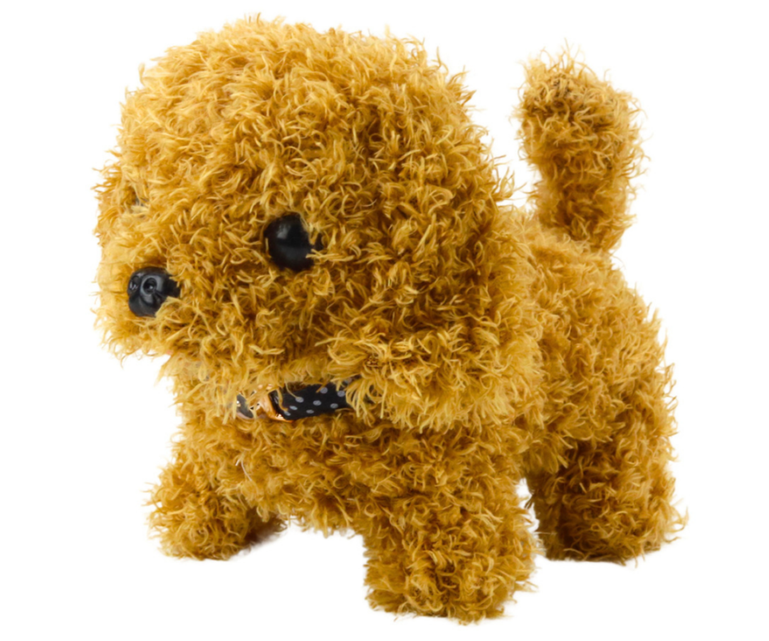 Puudelikoera hooldusmäng tarvikutega – hari, kamm, kauss ja föön