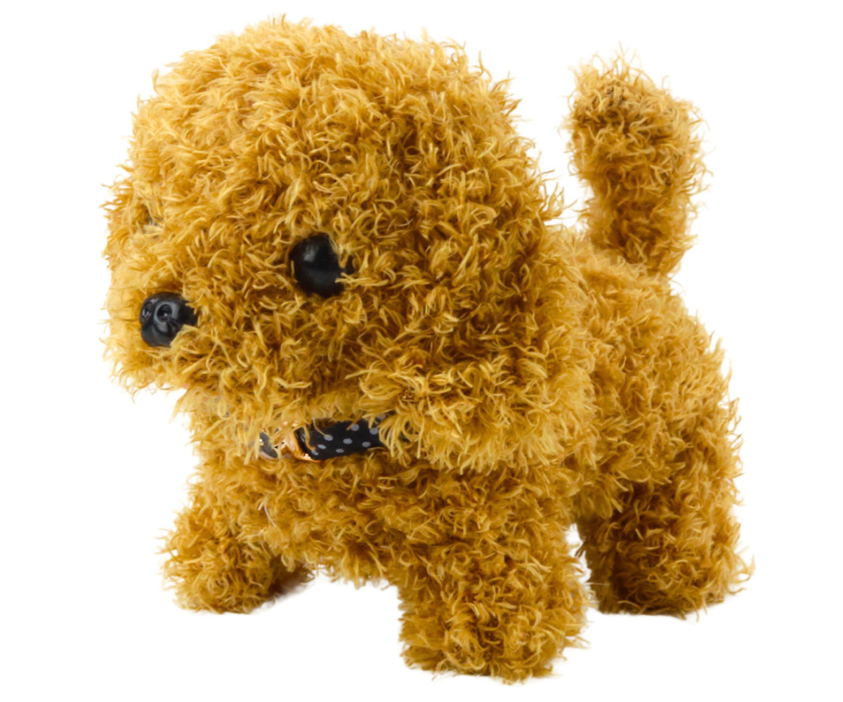 Puudelikoera hooldusmäng tarvikutega – hari, kamm, kauss ja föön