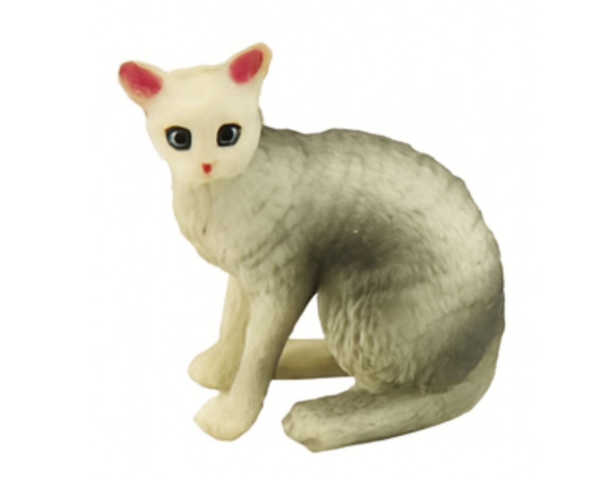 Mini kasside mängukomplekt farmi või loomakliiniku teemaliseks mänguks.