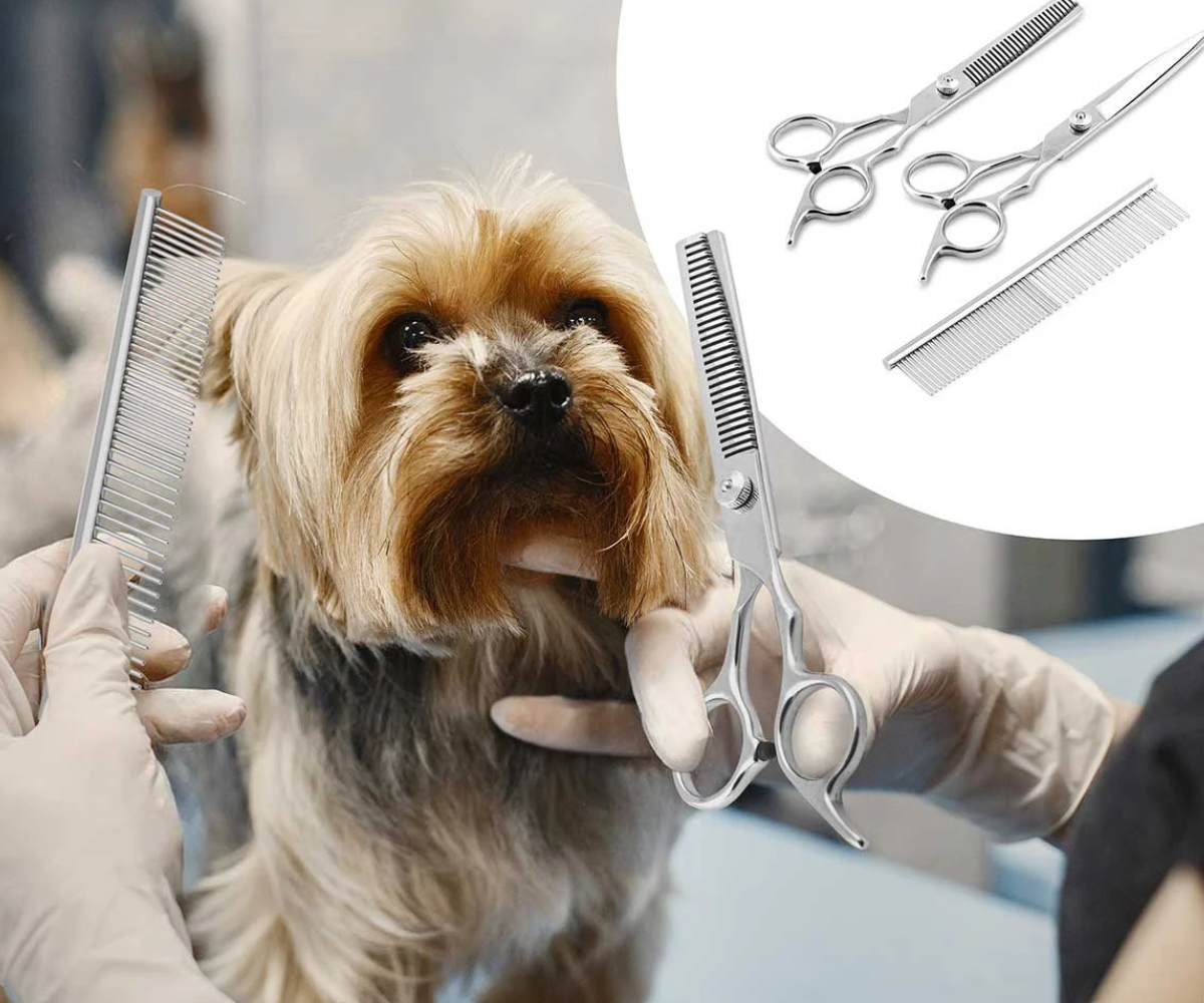 Pethaus PH-100 roosa lemmikloomalõikur koduseks karvahoolduseks