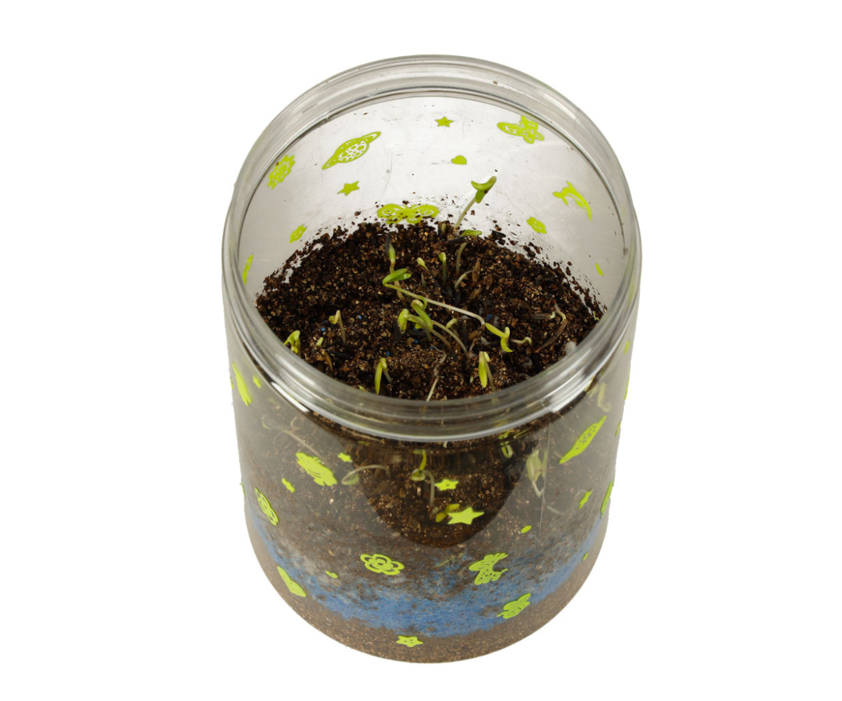 LED valgustusega terrarium lapse tuppa