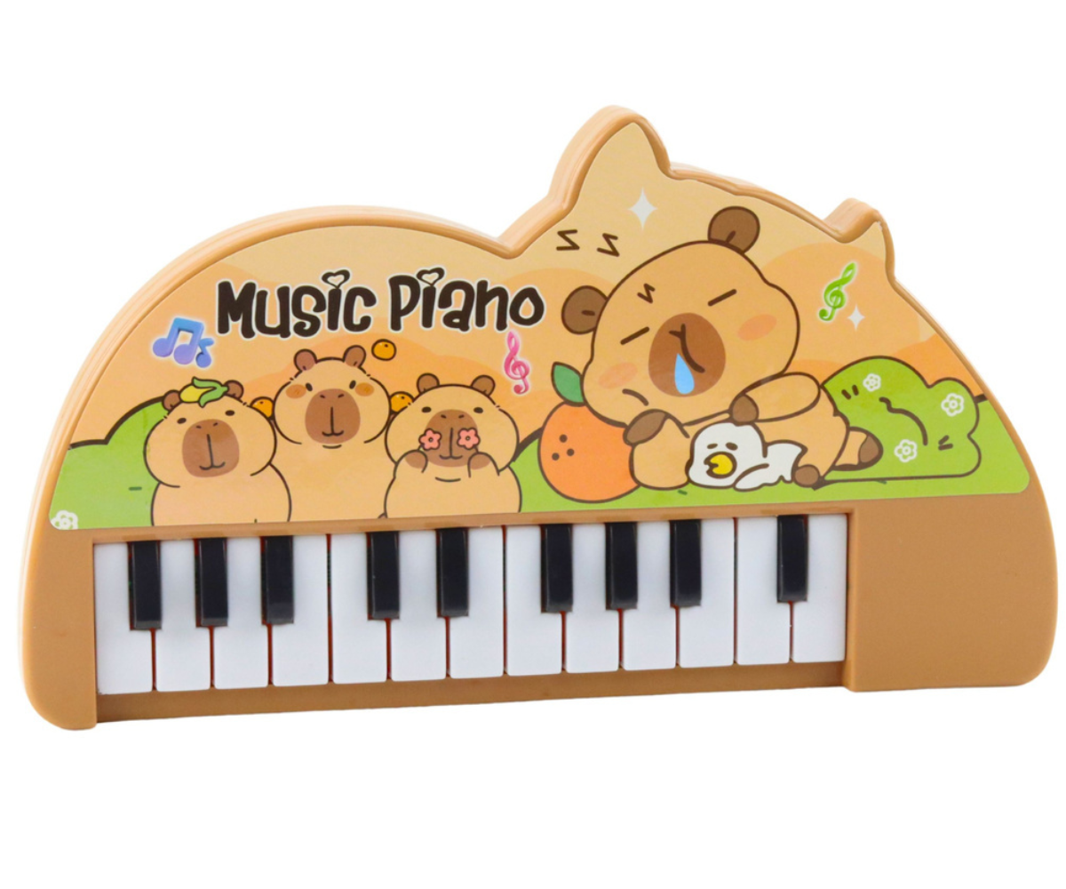 Mini klaver lastele muusika ja rütmi õppimiseks