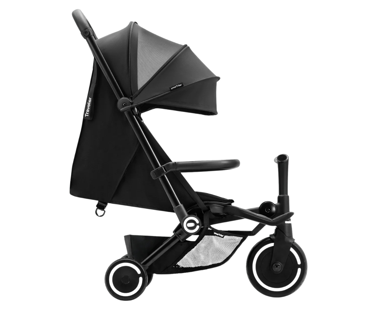 Traveler 2in1 jalutuskäru lastele vanuses 6 kuud kuni 4 aastat